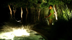 Actor in green shirt stands near illuminated water feature splashing dramatically at night, trees and bamboo fence behind him